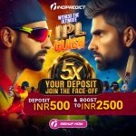 indibet cricket betting IPL 2024