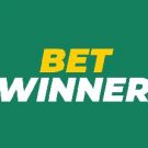Best Betting Sites With Live Cricket Streaming