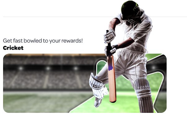 Cricket Betting Sites in India