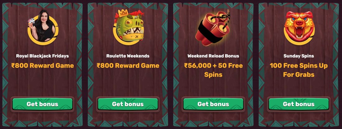 5gringos rewards for loyalty